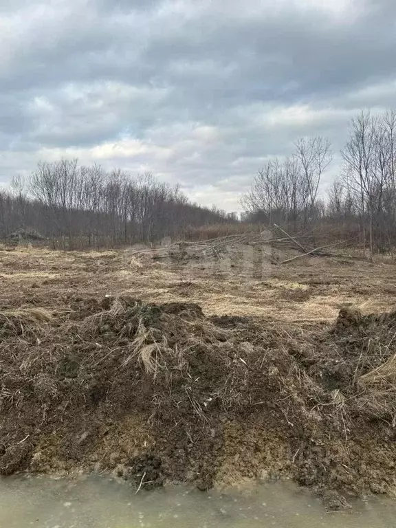 Участок в Сахалинская область, Анивский городской округ, с. ... - Фото 1