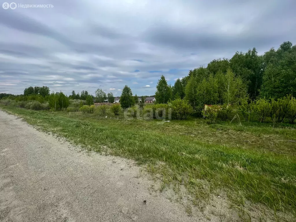 Участок в Сосновский район, село Кременкуль (115.3 м) - Фото 1