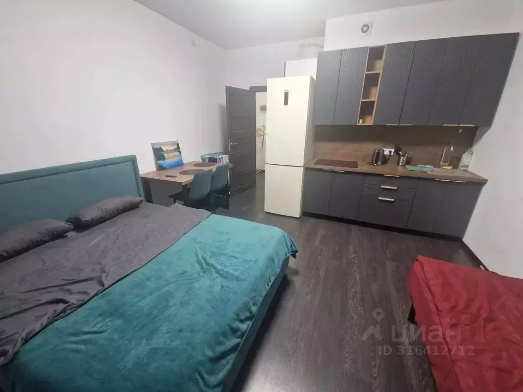 Студия Санкт-Петербург ул. Струве, 14к1 (26.0 м) - Фото 0