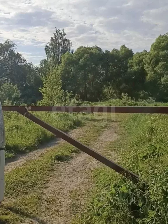 Участок в Тульская область, Тула городской округ, д. Медвенка, Водник ... - Фото 1