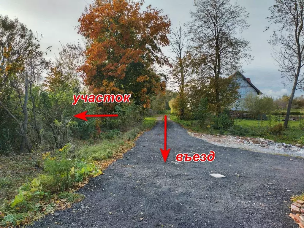 Участок в Калининградская область, Гурьевский муниципальный округ, ... - Фото 2