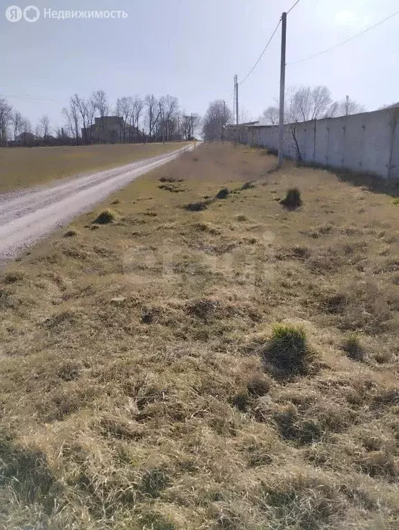 Участок в Чернополье, Степная улица (14.56 м) - Фото 2