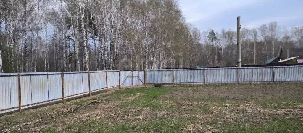 Участок в Новосибирская область, Новосибирский район, Барышевский ... - Фото 1