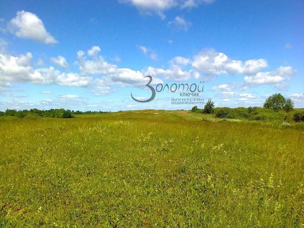 Участок в Нижегородская область, Воротынский городской округ, с. ... - Фото 1