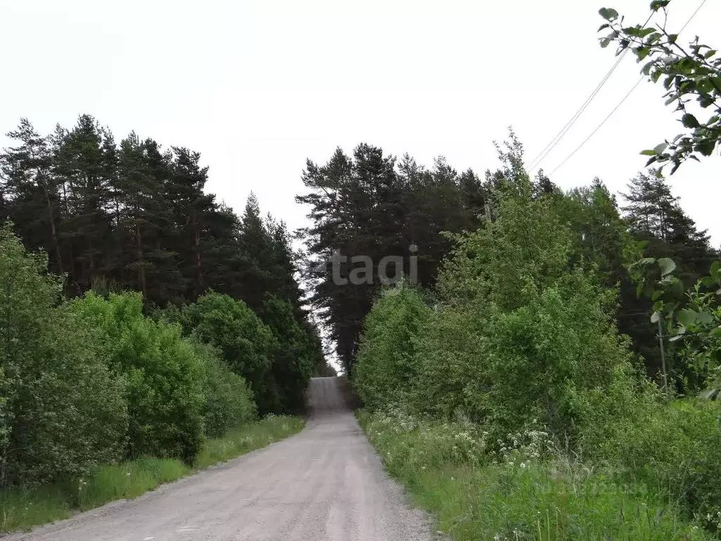 Участок в Ленинградская область, Приозерский район, Плодовское с/пос, ... - Фото 0