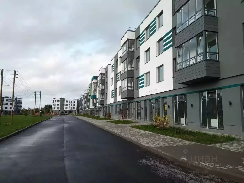 Торговая площадь в Ленинградская область, Гатчинский район, д. Малое ... - Фото 2