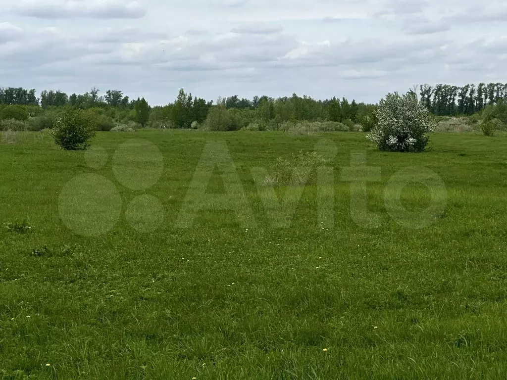Участок 6 сот. (СНТ, ДНП) - Фото 0