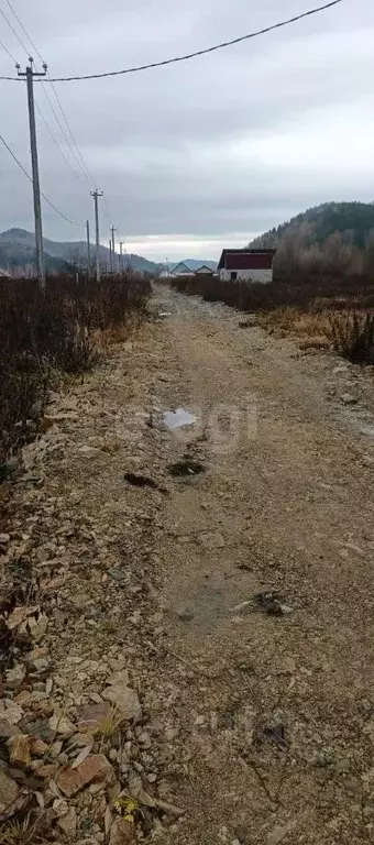 Участок в Алтай, Майминский район, Поселок филиал ул. А.Н. Муратова, ... - Фото 1