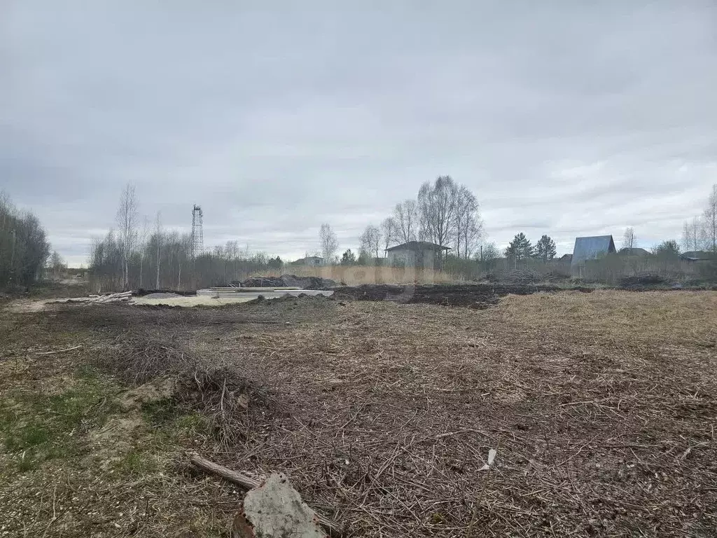 Участок в Тюменская область, Тюмень Ясень садовое товарищество, ул. ... - Фото 1