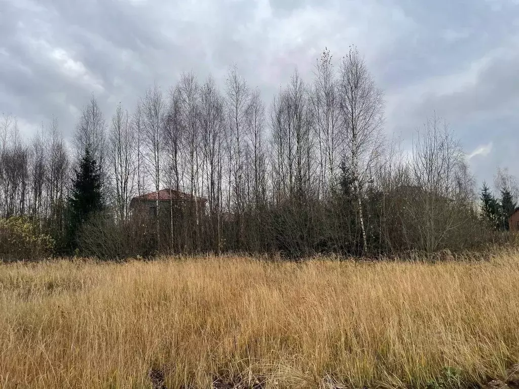 Участок в Москва № 182 кв-л, 92 (9.0 сот.) - Фото 2