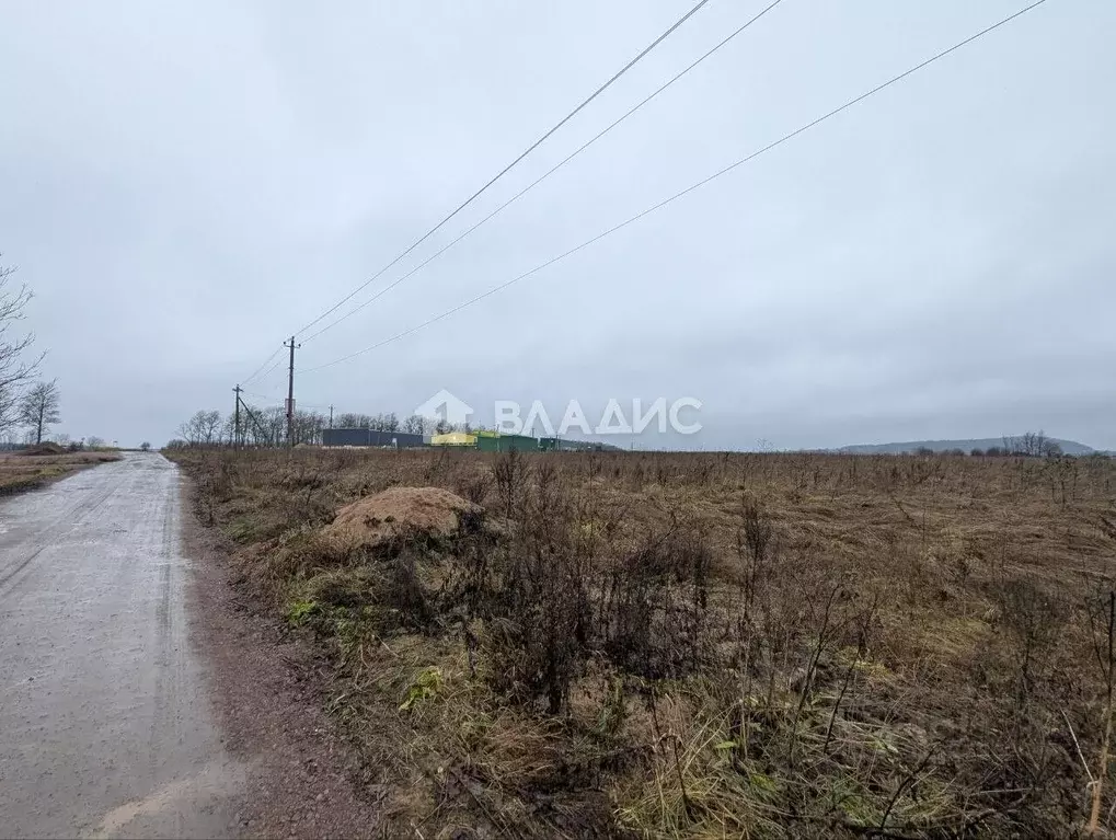 Участок в Ленинградская область, Гатчинский район, Тайцы городской ... - Фото 1