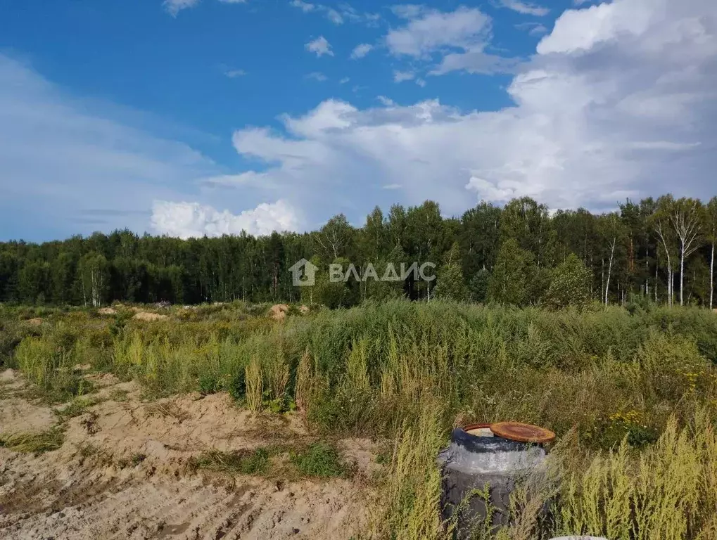 Участок в Владимирская область, Ковровский район, Доброград ... - Фото 1