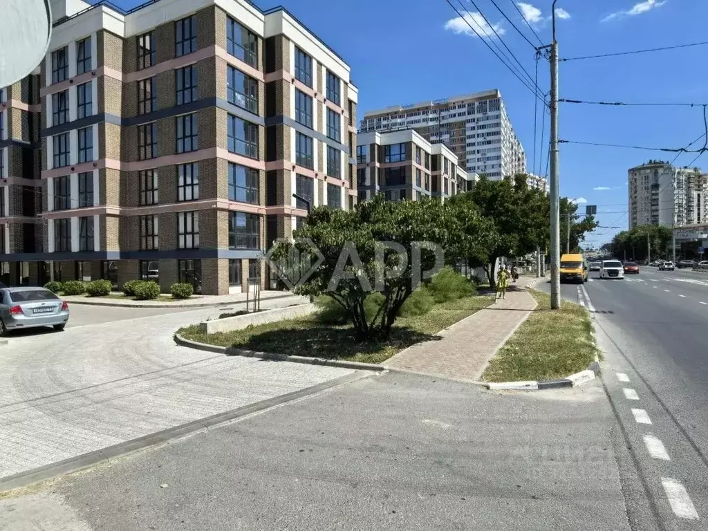 Торговая площадь в Краснодарский край, Новороссийск просп. Ленина, 52А ... - Фото 1