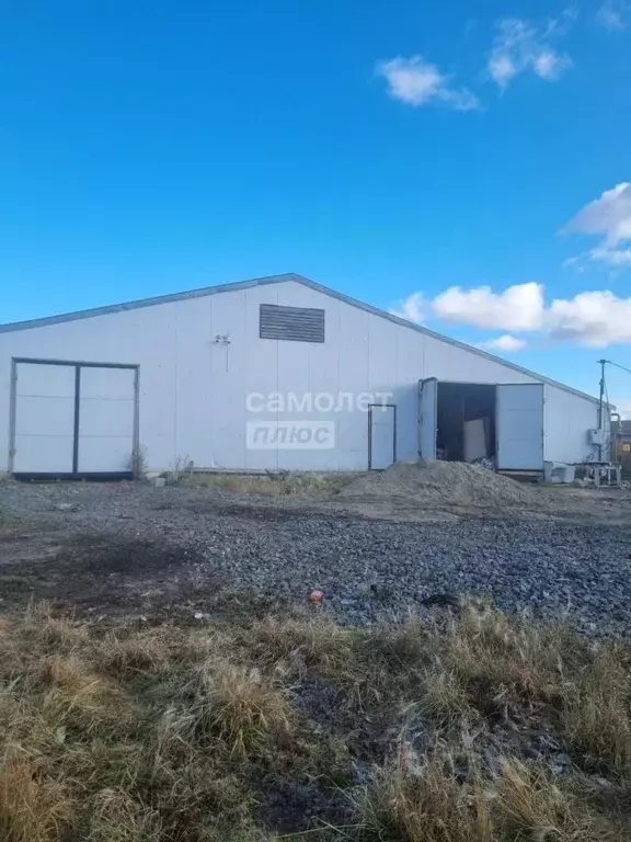 Помещение свободного назначения в Курганская область, Сафакулевский ... - Фото 1