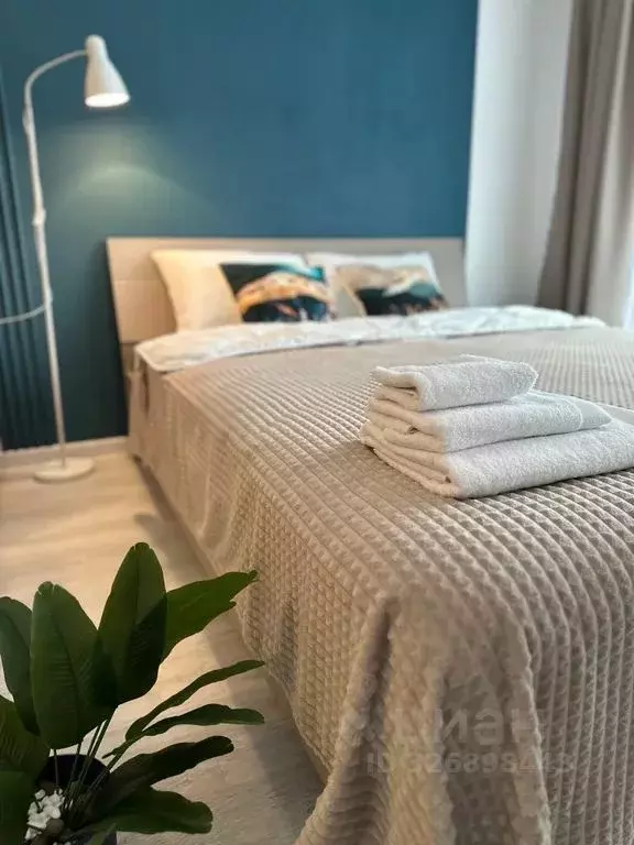 Студия Санкт-Петербург 1-й Предпортовый проезд, 1 (25.0 м) - Фото 2