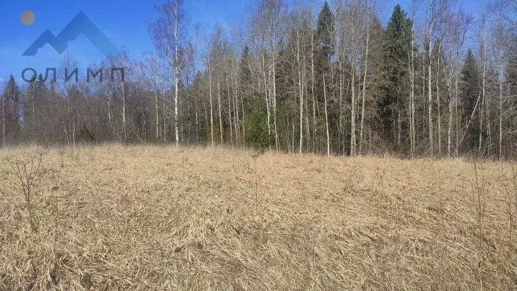 Участок в Вологодская область, Никольский муниципальный округ, д. ... - Фото 0