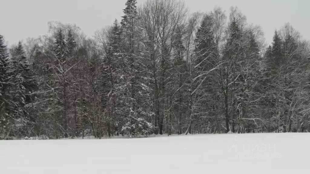 Участок в Московская область, Рузский муниципальный округ, д. Филатово ... - Фото 1