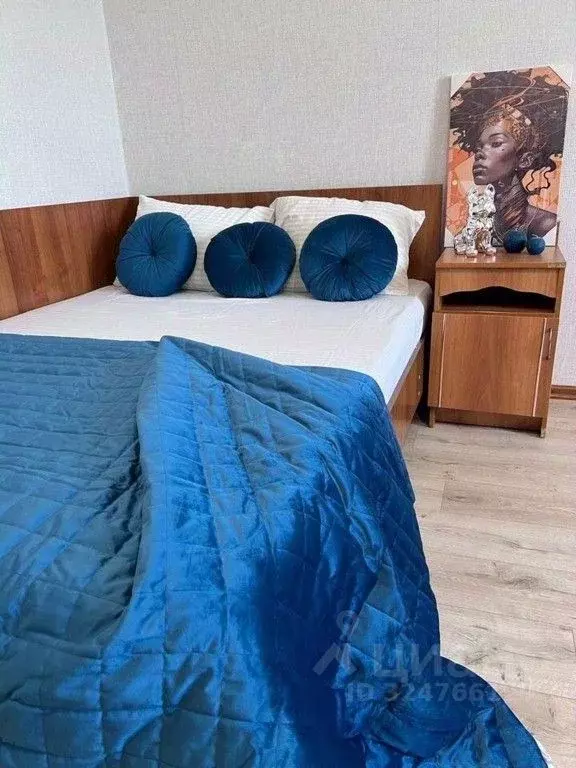 1-к кв. Татарстан, Казань ул. Вишневского, 29/48 (56.0 м) - Фото 2