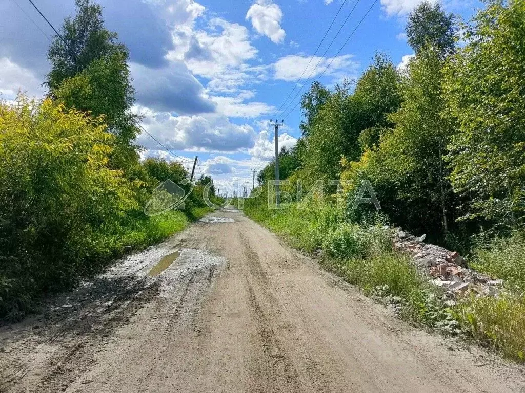 Участок в Тюменская область, Нижнетавдинский муниципальный округ, ... - Фото 2