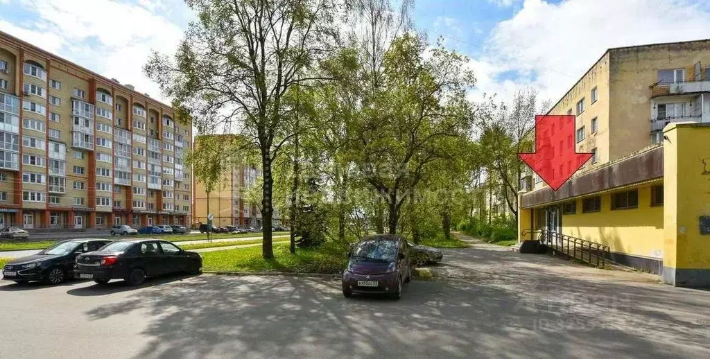 Помещение свободного назначения в Новгородская область, Великий ... - Фото 2