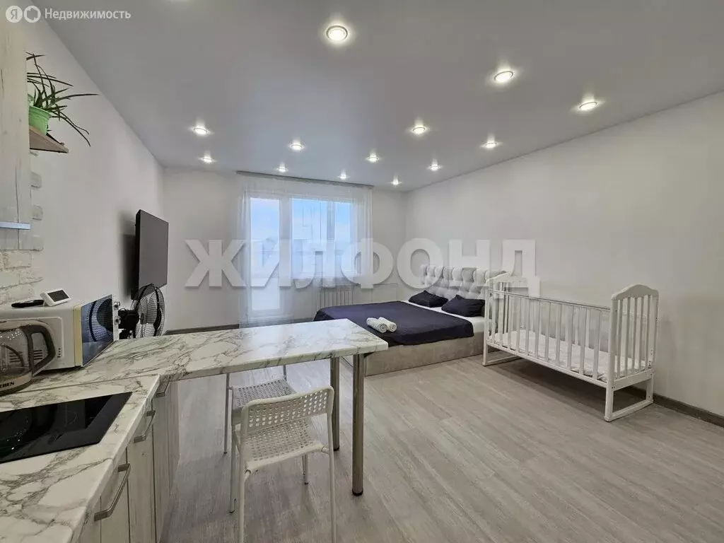 Квартира-студия: Новосибирск, Плющихинская улица, 9 (32.5 м) - Фото 1