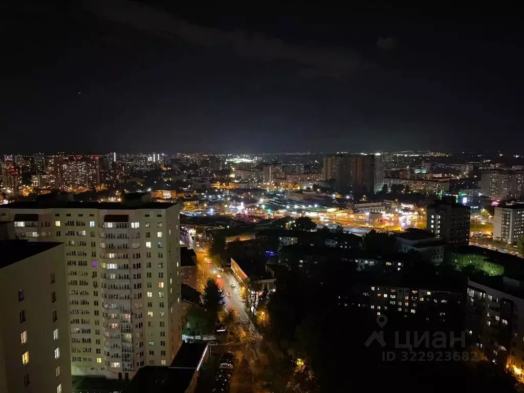 1-к кв. Пермский край, Пермь ул. Механошина, 15 (47.0 м) - Фото 2