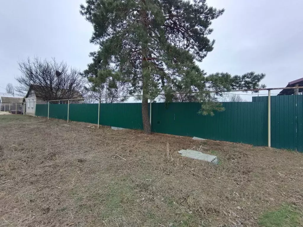 Участок в Волгоградская область, Среднеахтубинский район, Куйбышевское ... - Фото 1