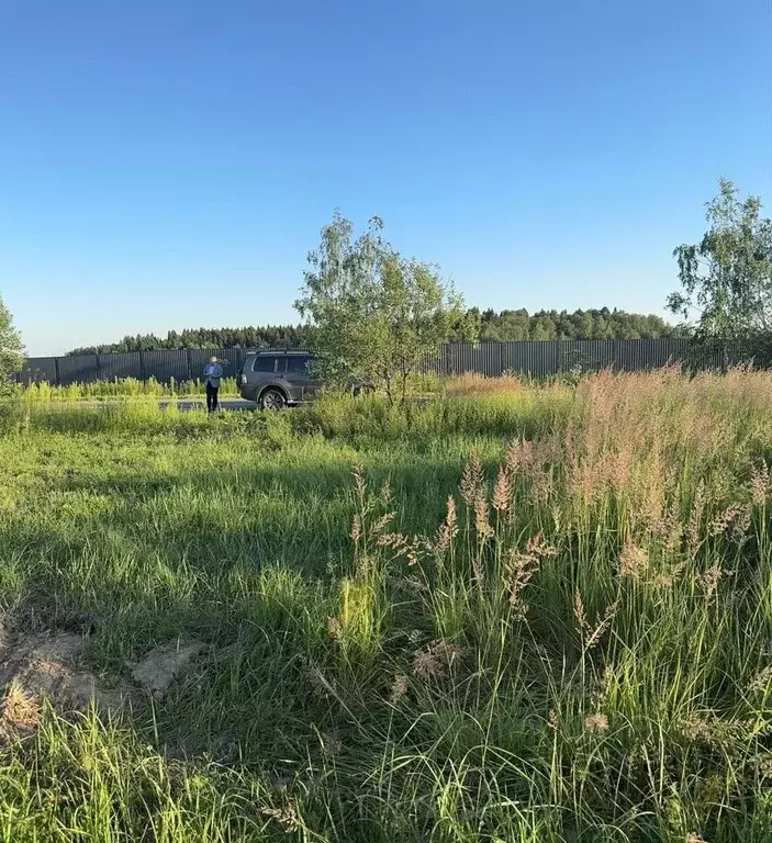 Участок в Московская область, Пушкинский городской округ, с. Путилово  ... - Фото 1