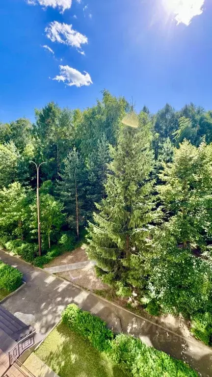 3-к кв. Москва Осенняя ул., 25К2 (110.9 м) - Фото 2