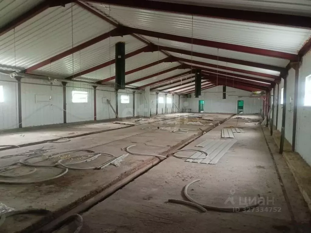 Склад в Саратовская область, с. Широкий Буерак ул. Рабочая, 25 (1068 ... - Фото 1