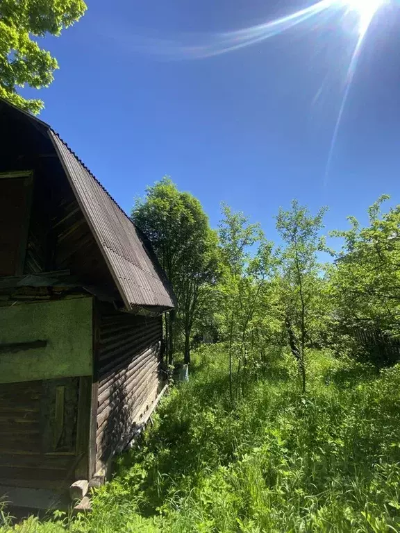 Дом в Московская область, Дмитровский городской округ, Борьба СНТ  (48 ... - Фото 0