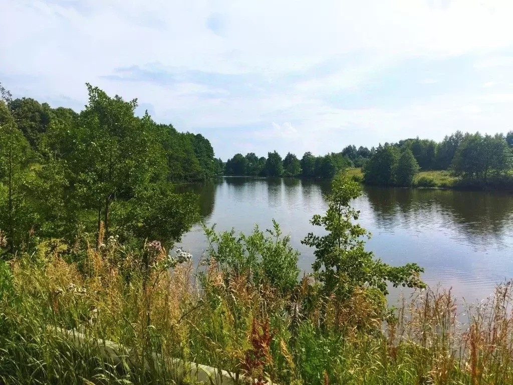 Участок в Тульская область, Ясногорский район, Теляковское с/пос, д. ... - Фото 1