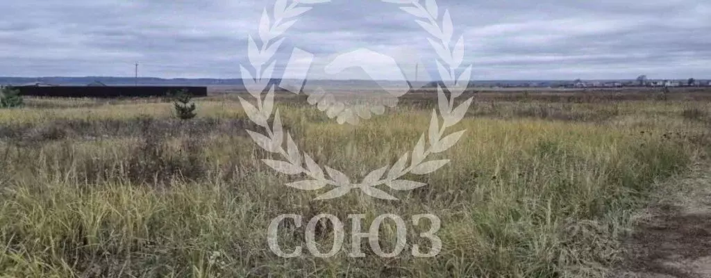 Участок в Калужская область, Дзержинский муниципальный округ, Дворцы ... - Фото 2