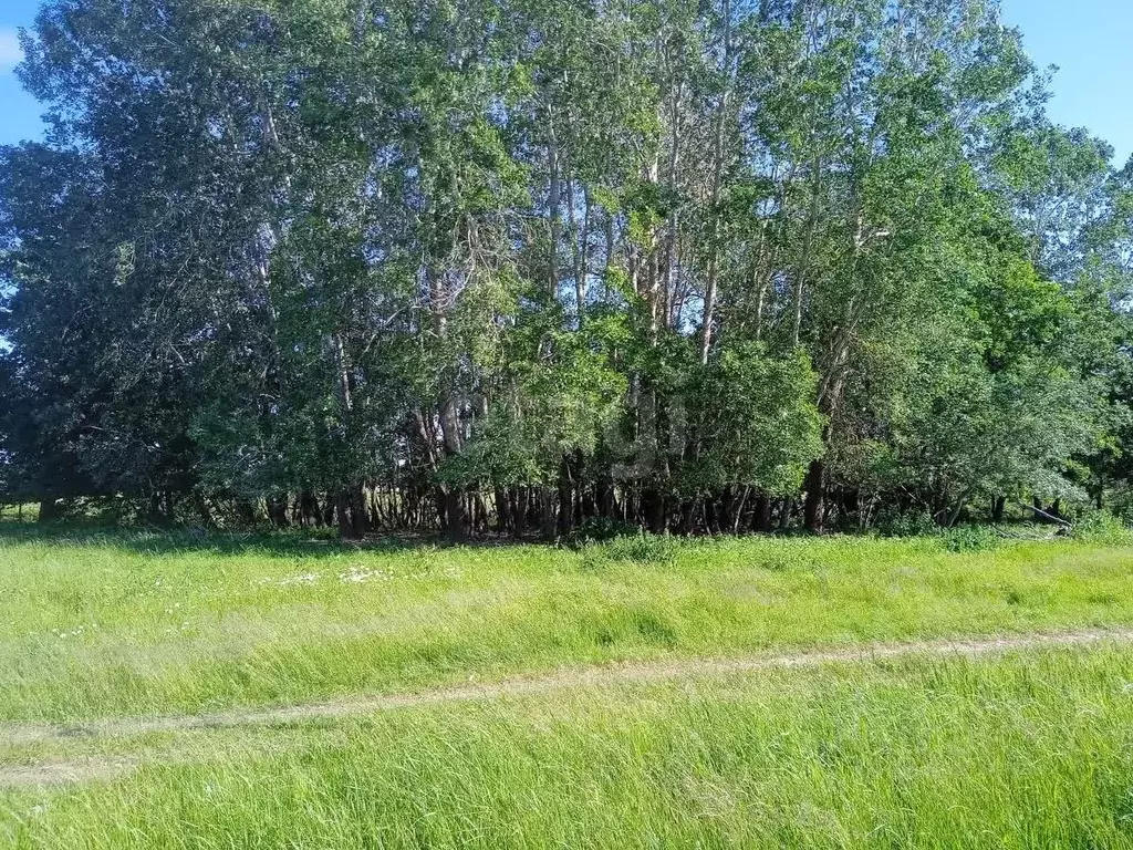 Участок в Краснодарский край, Горячий Ключ  (10.66 сот.) - Фото 1