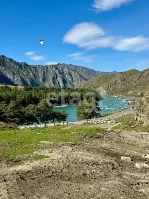 Участок в Алтай, Чемальский район, с. Еланда Катунская ул. (15.5 сот.) - Фото 1