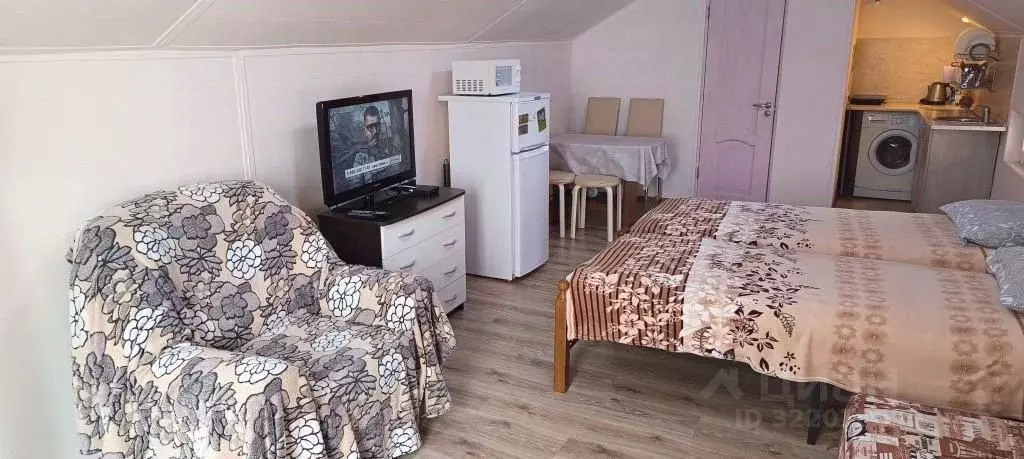 1-к кв. Краснодарский край, Сочи Светлана мкр, ул. Джигитская, 4 (30.0 ... - Фото 0