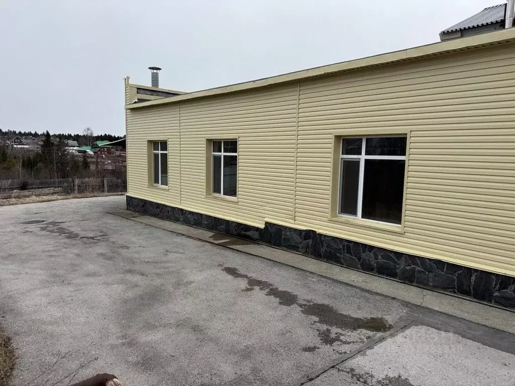 Производственное помещение в Пермский край, Добрянка ул. Пушкина, 22 ... - Фото 0