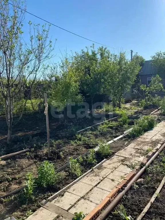 Участок в Оренбургская область, Оренбургский район, Экспериментальный ... - Фото 0