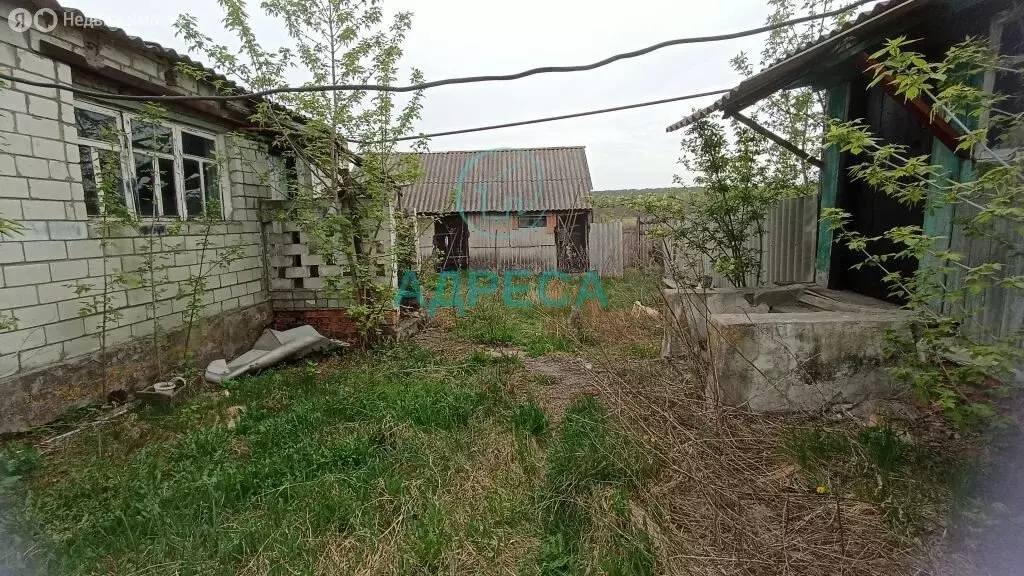 Дом в хутор Раевка, Центральная улица (32.5 м) - Фото 0
