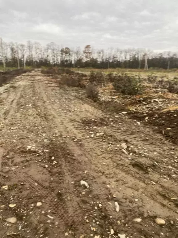 Участок в Адыгея, Майкоп городской округ, пос. Западный ул. Полевая ... - Фото 1