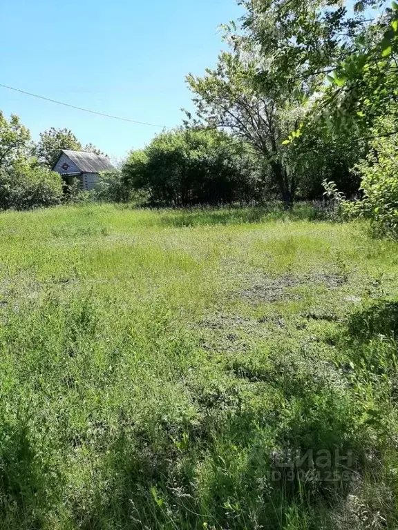 Участок в Белгородская область, Белгородский район, Краснооктябрьское ... - Фото 1