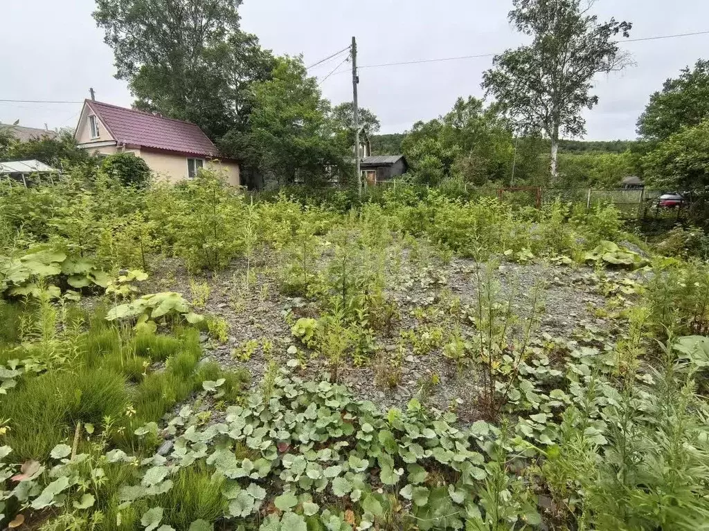 Участок в Сахалинская область, Анивский городской округ, с. Троицкое, ... - Фото 2