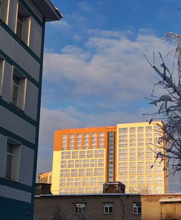 Помещение свободного назначения в Новосибирская область, Новосибирск ... - Фото 1