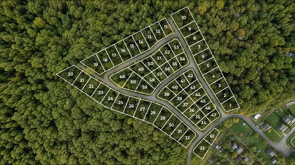 Участок в Московская область, Солнечногорск городской округ, Лисичкин ... - Фото 2