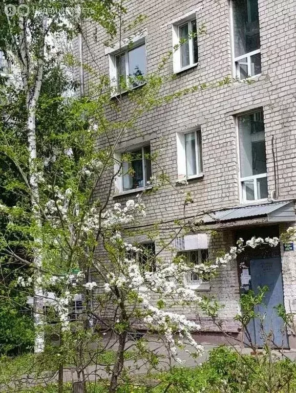 1-комнатная квартира: Благовещенск, Пионерская улица, 71/9 (26 м) - Фото 1
