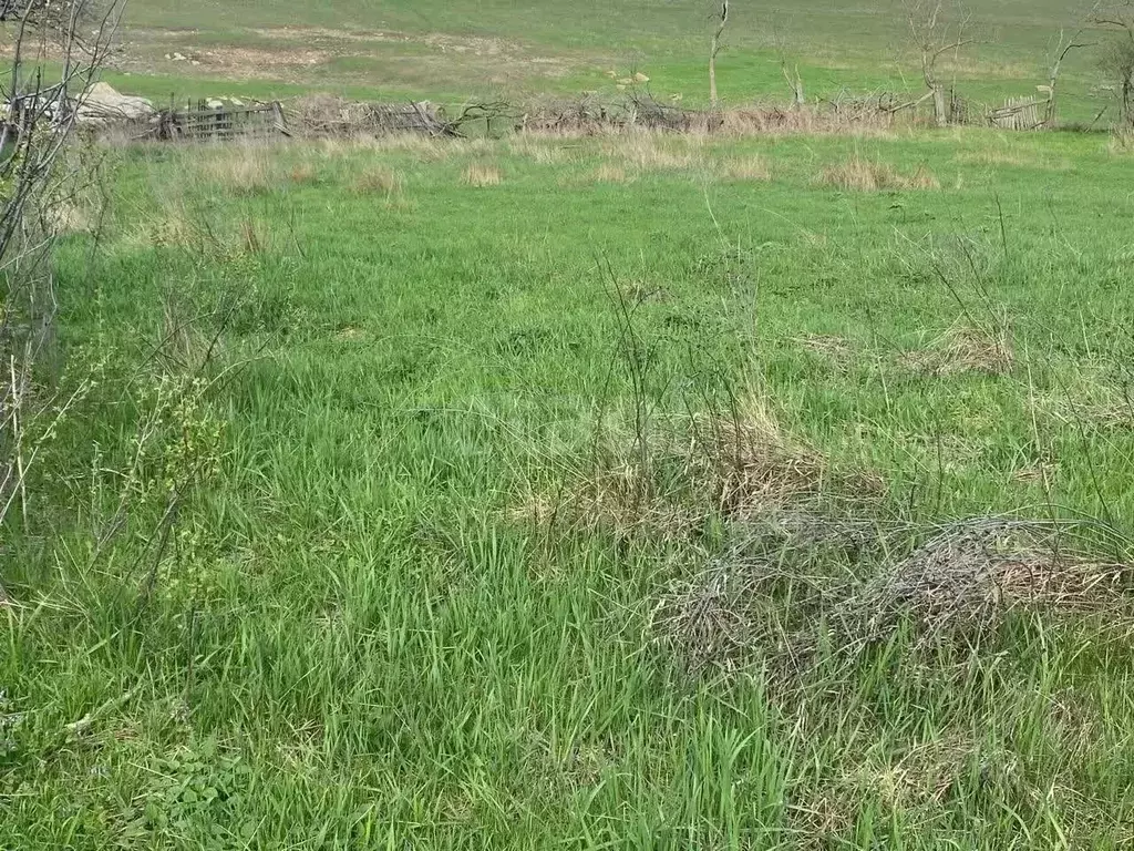 Участок в Ставропольский край, Шпаковский муниципальный округ, ... - Фото 2