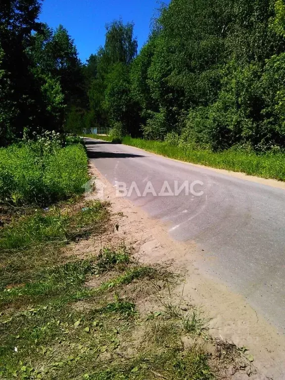 Участок в Владимирская область, Петушинский район, Городищи ... - Фото 0