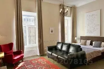 1-к кв. Санкт-Петербург Дворцовая наб., 28 (30.0 м) - Фото 1