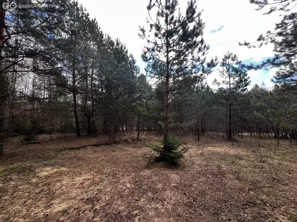 Участок в Калужская область, Перемышльский муниципальный округ, ... - Фото 1