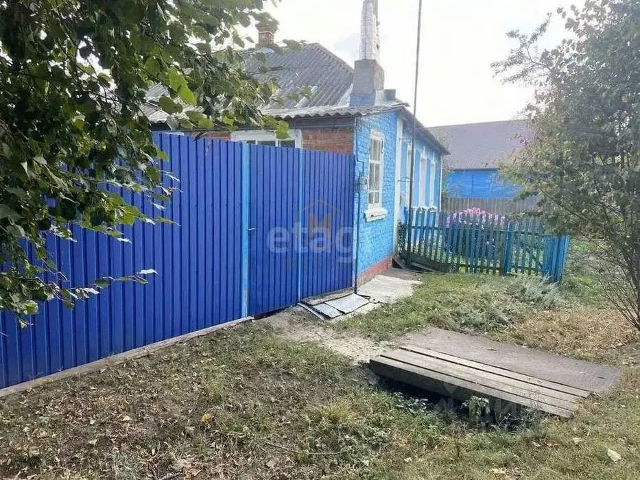 Дом в Белгородская область, Шебекинский муниципальный округ, с. ... - Фото 2
